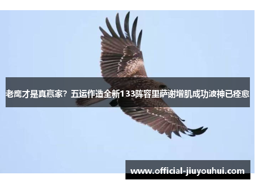 老鹰才是真赢家？五运作造全新133阵容里萨谢增肌成功波神已痊愈